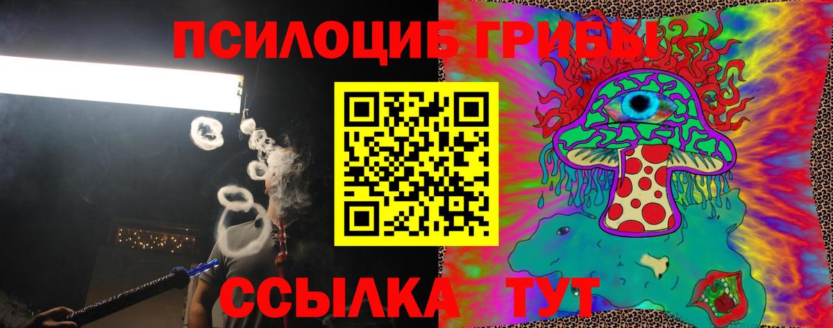 Псилоцибиновые грибы Psilocybine cubensis Магадан