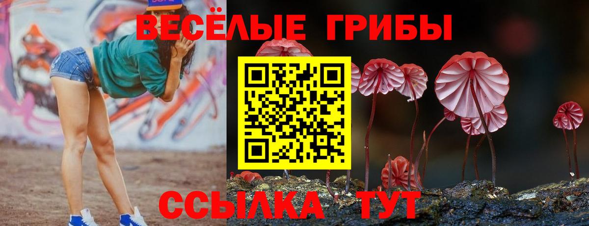 Псилоцибиновые грибы MAGIC MUSHROOMS  как найти закладки  Псилоцибиновые грибы Psilocybine cubensis  Магадан  Вход с VPN 